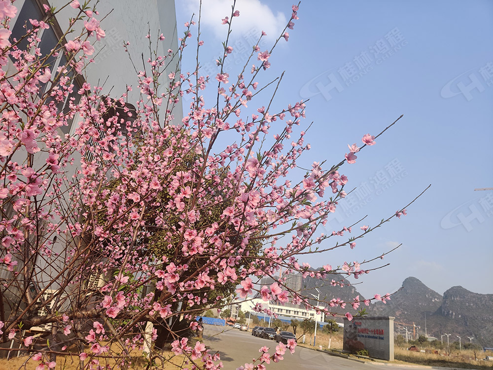 桂林鴻程花團(tuán)錦簇，滿園春色，邀您一起共賞春景，共商大計(jì)！